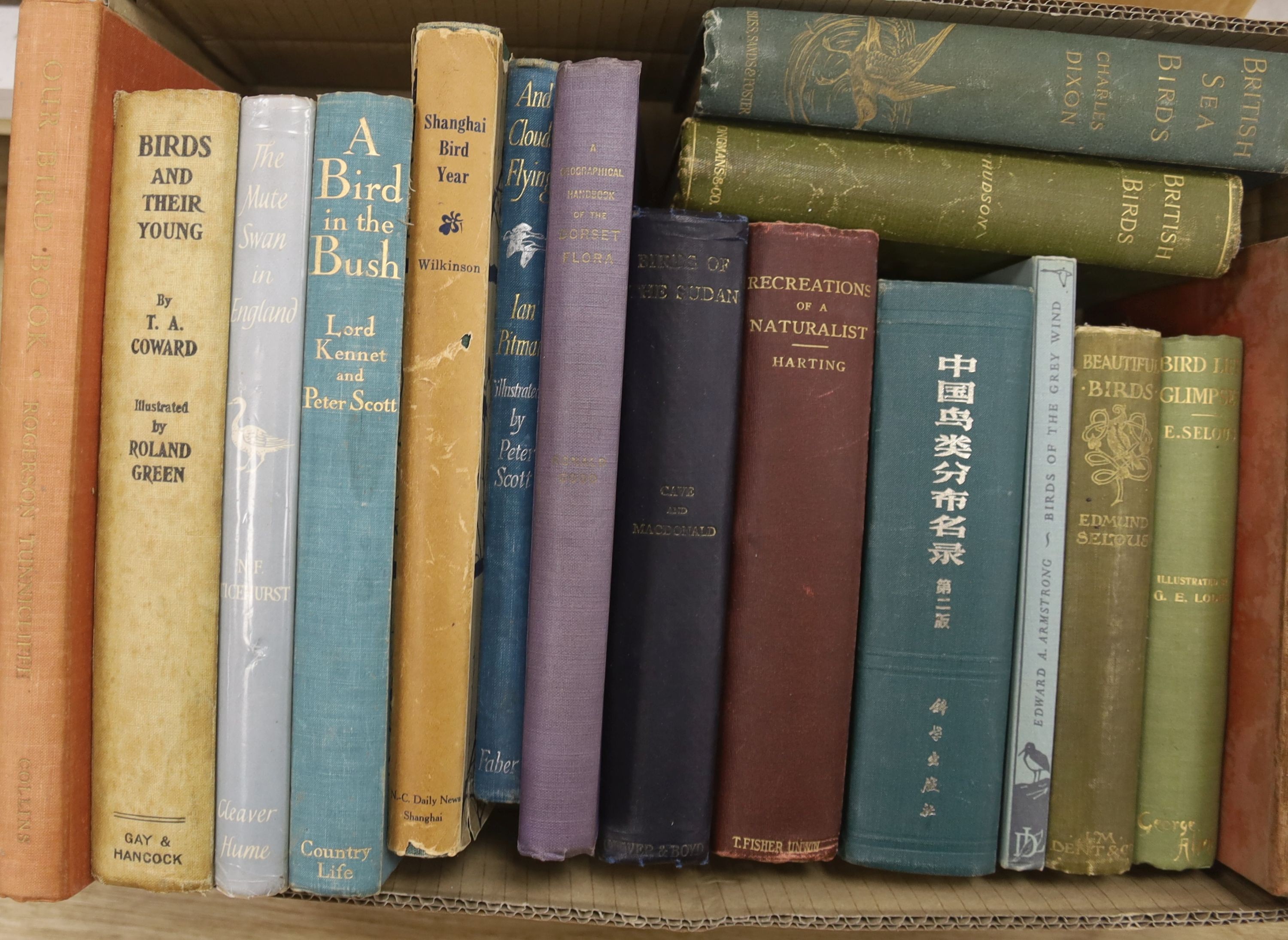 Ornithology and Natural History - A miscellany of approximately 33 volumes, in 2 boxes